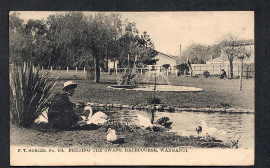 Postcard. Feeding the swans Racecourse Wanganui. - 47133 - Postcard image 0