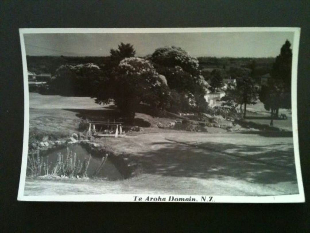 Real Photograph by N S Seaward of Te Aroha Domain. - 46597 - Postcard image 0