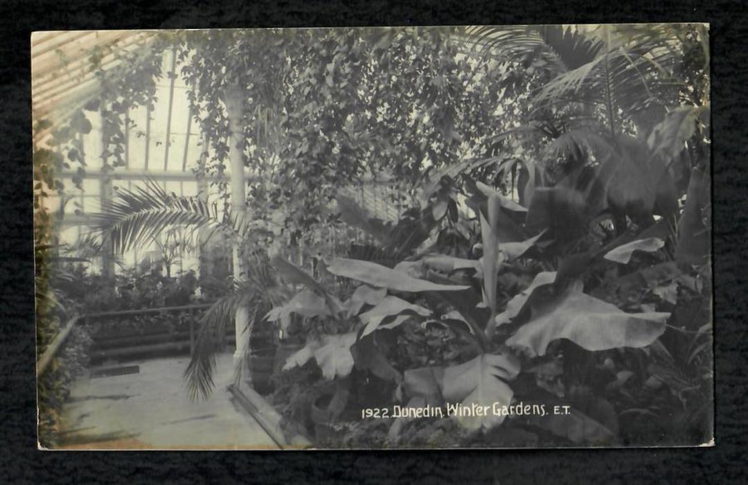 Real Photograph by E T of the Dunedin Winter Gardens. - 49105 - Postcard image 0