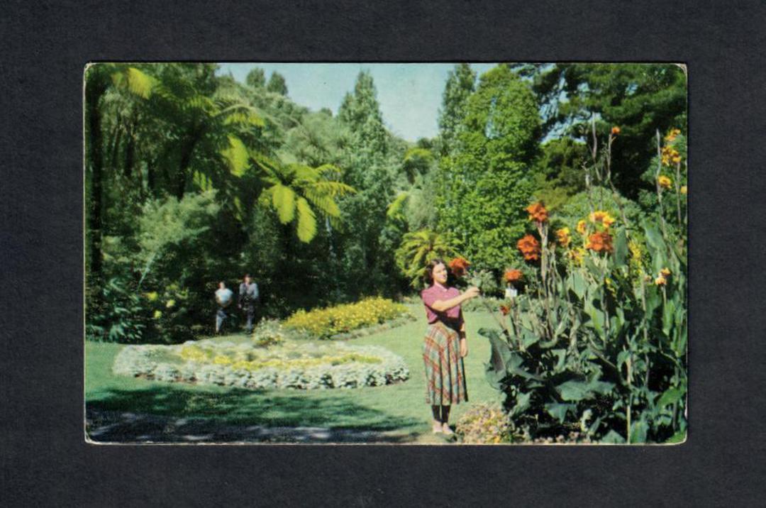 Coloured postcard by Reed of Pukekura Park. - 46918 - Postcard image 0