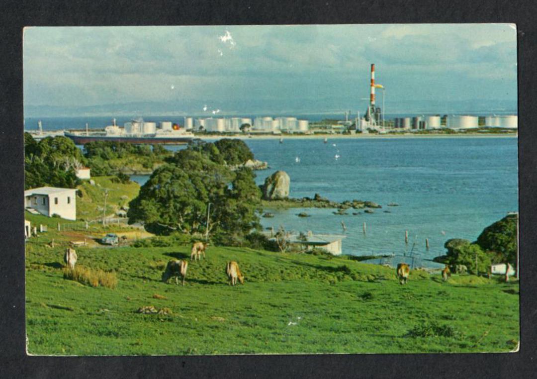 Modern Coloured Postcard by Gladys Goodall of Marsden Point Whangarei. - 444403 - Postcard image 0
