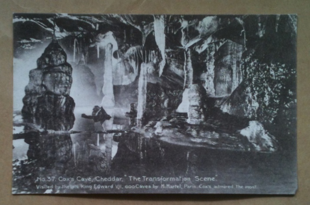 Postcard of Cox' Cave Cheddar. - 42974 - Postcard image 0