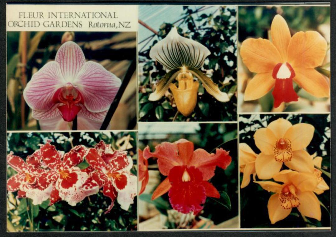 FLEUR INTERNATIONAL Orchid Gardens Rotorua. Two photographs Seem to be sold on site. - 42091 - Postcard image 1