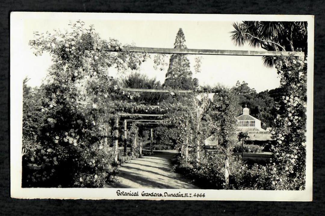 Real Photograph by A B Hurst & Son of The Botannical Gardens Dunedin. - 49131 - Postcard image 0
