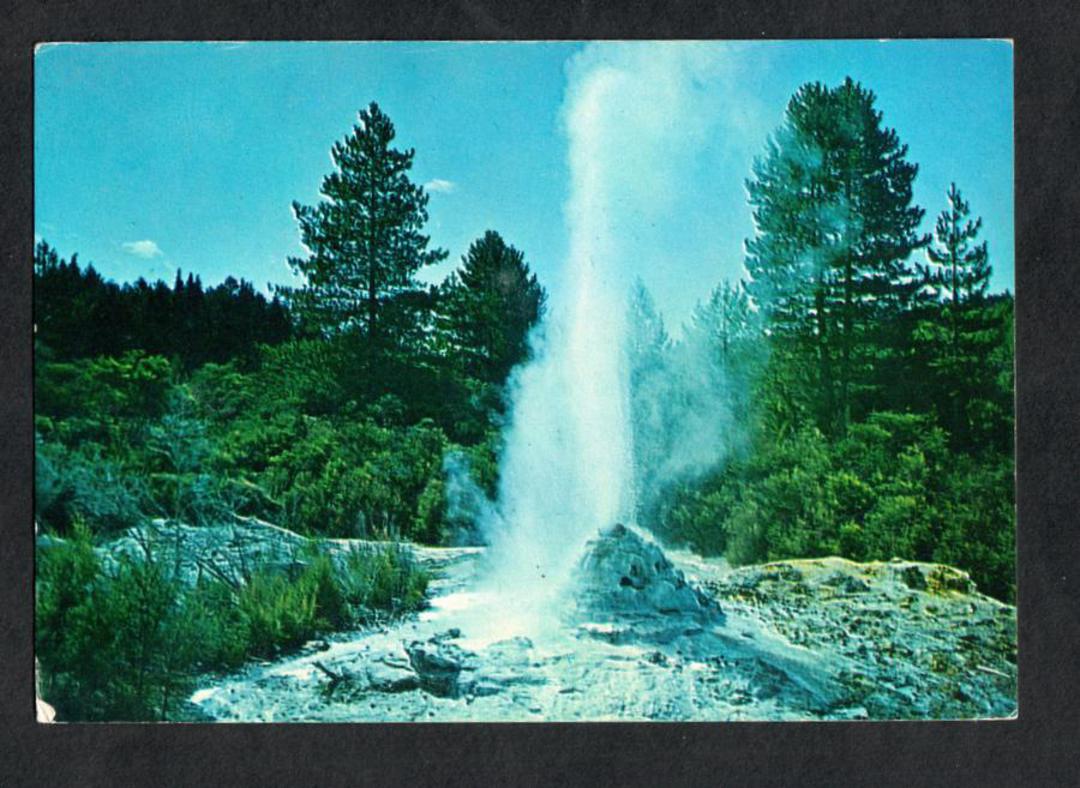 Modern Coloured Postcard by Gladys Goodall of Lady Knox Geyser Waiotapu Rotorua. - 444297 - Postcard image 0