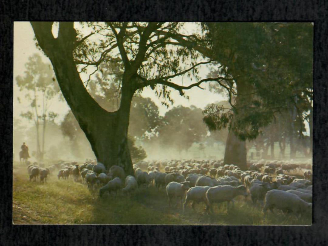 Modern Coloured Postcard of Australian Rural Scene. - 444985 - Postcard image 0