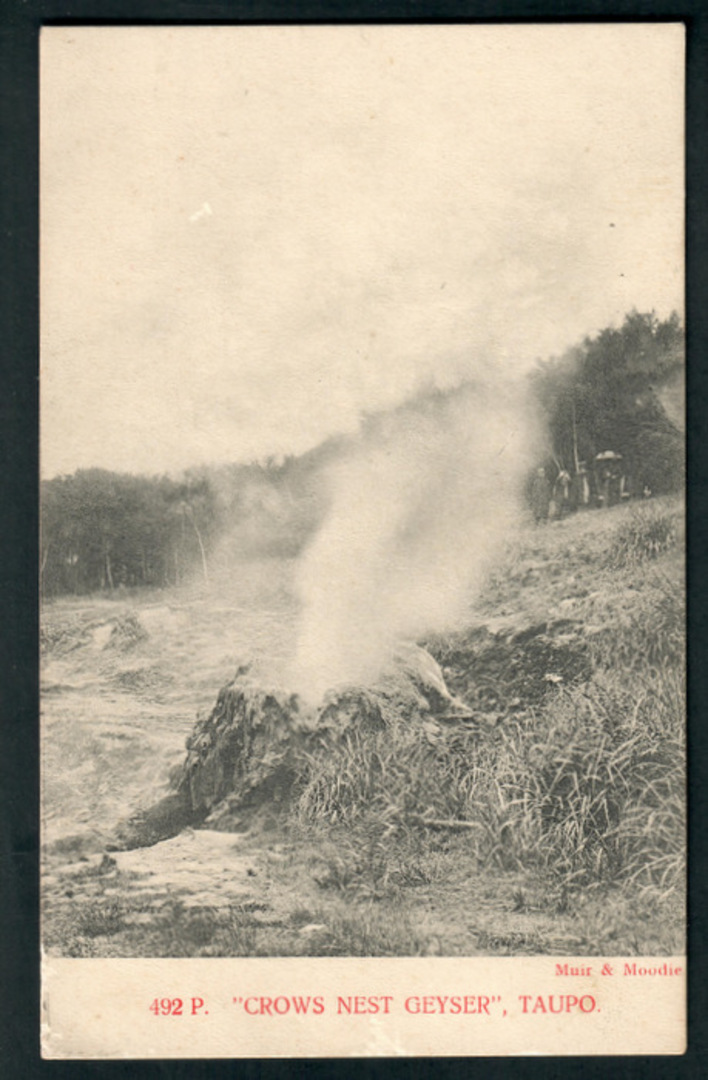 Postcard by Muir and Moodie of The Crow's Nest Geyser Taupo. - 46681 - Postcard image 0