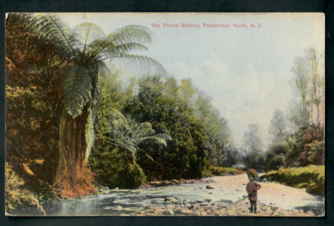 Coloured Postcard of the Tiritea Stream Palmerson North. - 47210 - Postcard image 0