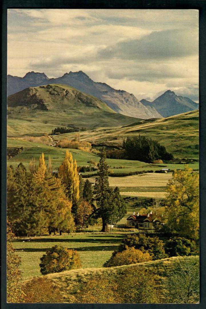 Modern Coloured Postcard in large size of Rural New Zealand. Probably Central Otago. - 100447 - Postcard image 0