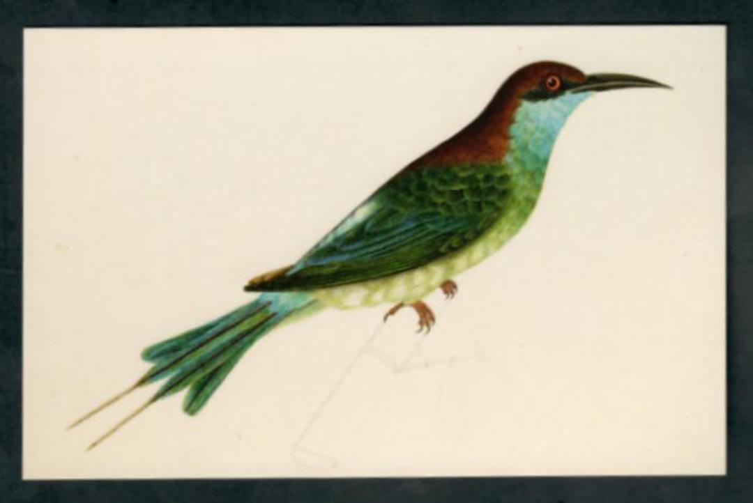 Modern Coloured Postcards from the British Library of Birds. Mainly old coloured illustrations from albums and books in the libr image 6