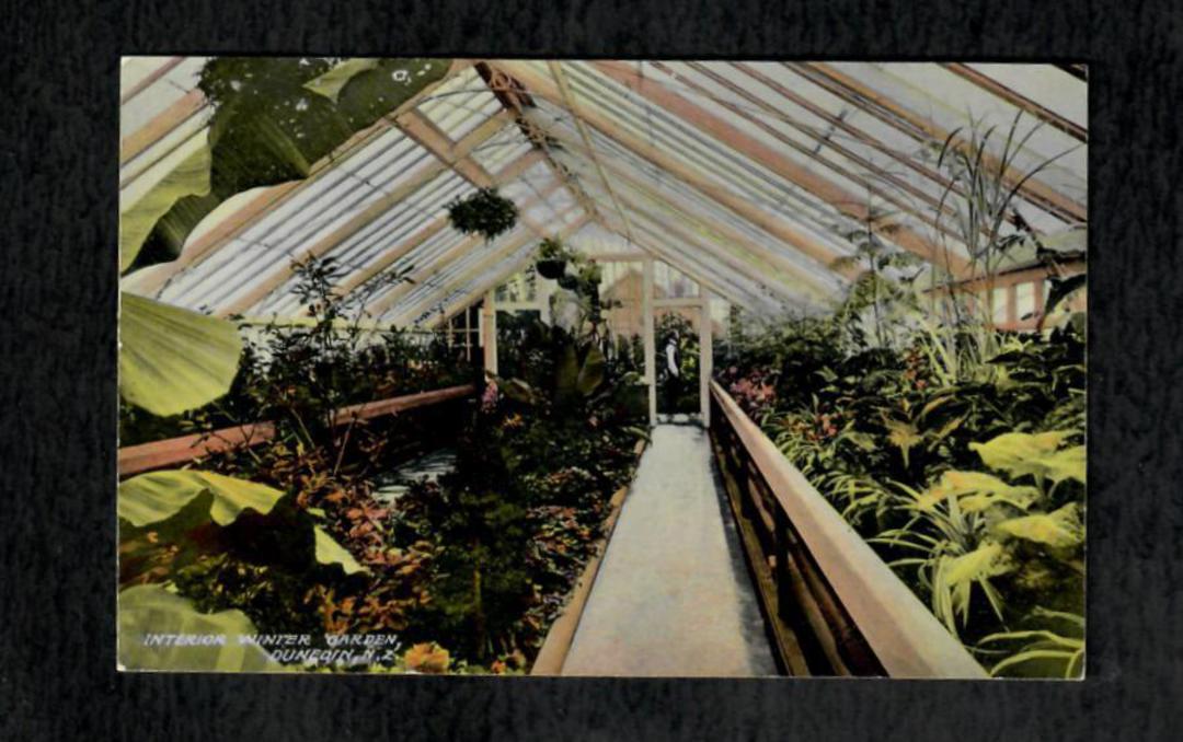 Coloured postcard of the Interior of the Winter Gardens Dunedin. - 49122 - Postcard image 0