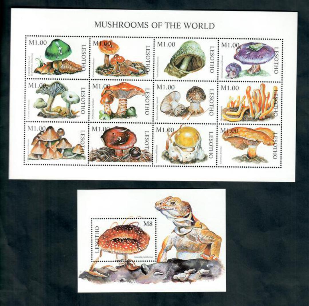 LESOTHO Fungi. Sheetlet of 12 and miniature sheet. - 50035 - UHM image 0