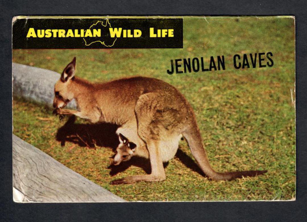 Coloured Lettercard of Jenolan Caves. - 444696 - Postcard image 0