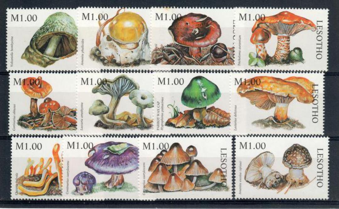 LESOTHO 1998 Fungi. The 12 values from the sheetlet. - 20789 - UHM image 0