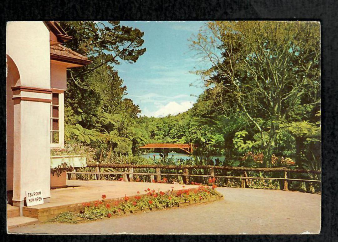 Modern Coloured Postcard by G B Scott of Mt Egmont from Pukekura Park. - 446901 - Postcard image 0