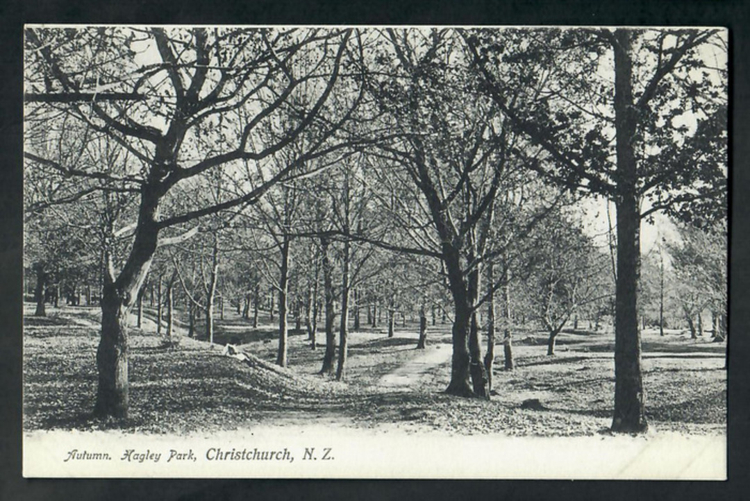 Postcard of Hagley Park Christchurch. - 248526 - Postcard image 0