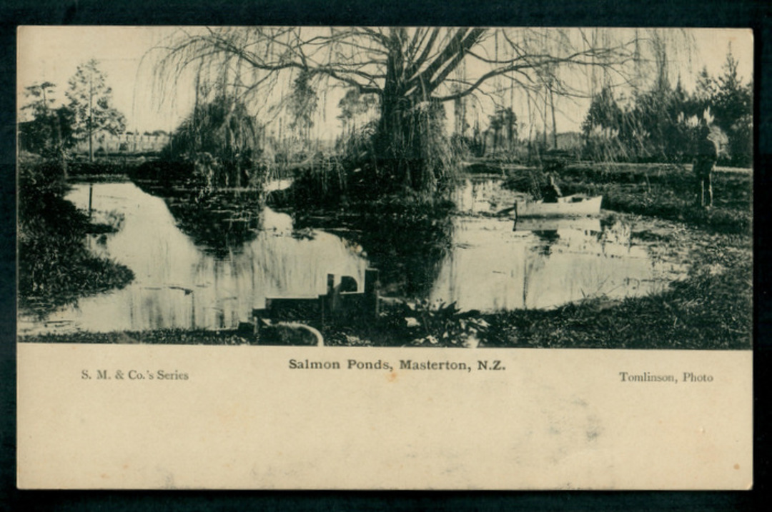Early Undivided Postcard by Tomlinson of Salmon Ponds Masterton. - 47851 - Postcard image 0