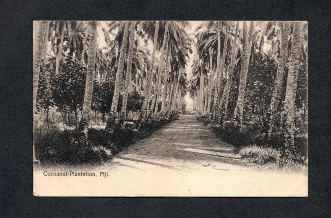 FIJI Postcard of Cocoanut Plantation. - 243855 - Postcard image 0