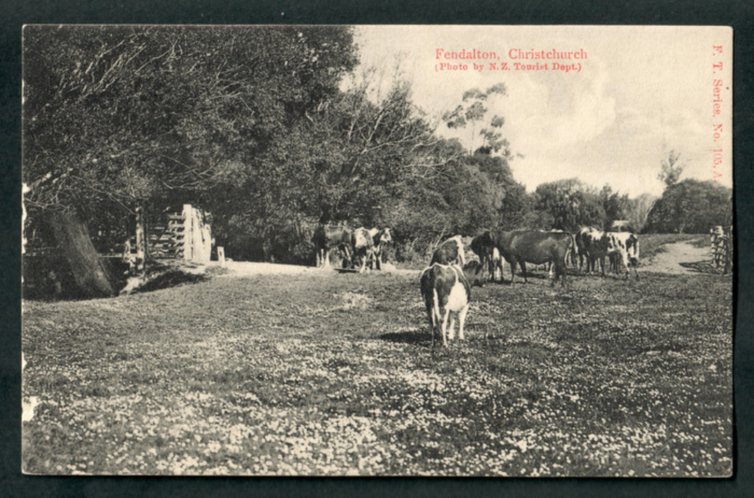 Coloured postcard of (farm at) Fendalton. - 48344 - Postcard image 0