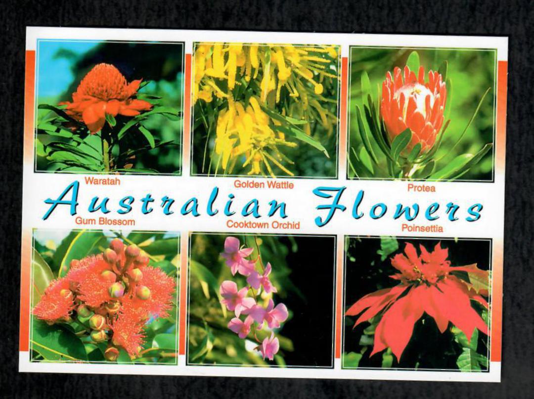 AUSTRALIA Modern Coloured Postcard of Australian Flowers. - 444892 - Postcard image 0