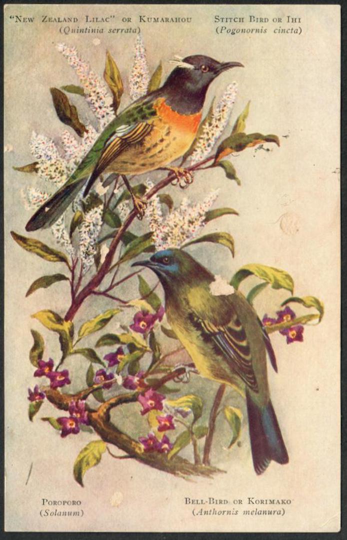 TUI and ORIMAKO New Zealand Birds. Coloured Postcard. - 43557 - Postcard image 0