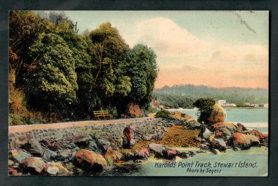 Coloured postcard by Sagers of Harold's Point Track Stewart Island. - 49344 - Postcard image 0