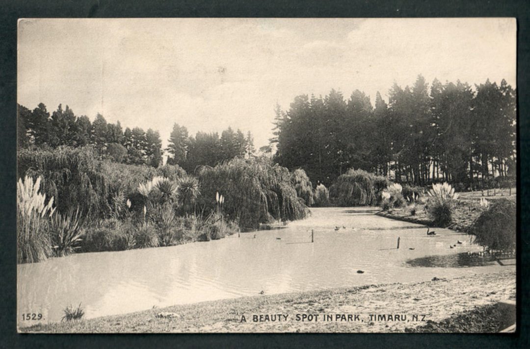Postcard. A beuty spot in the Park Timaru. - 48566 - Postcard image 0