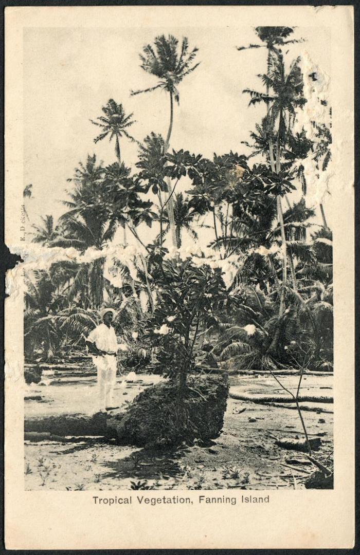GILBERT & ELLICE ISLANDS Postcard of Tropical Vegetation Fanning Island. Damage. - 243904 - Postcard image 0