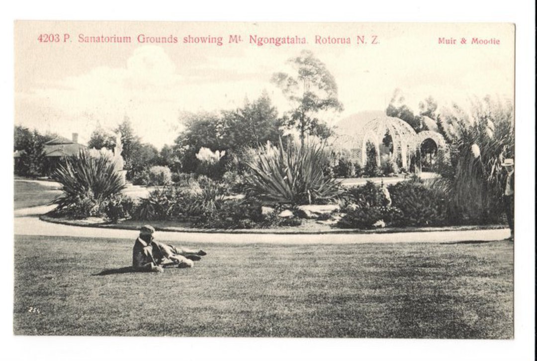 Postcard by Muir & Moodie of Sanatorium Grounds showing Mt Ngongataha Rotorua. - 246049 - Postcard image 0