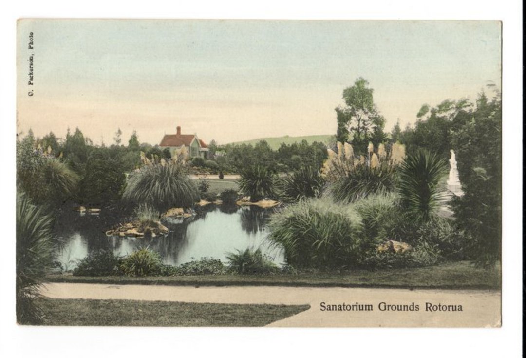 Coloured postcard of Sanitorium Grounds Rotorua. - 245953 - Postcard image 0