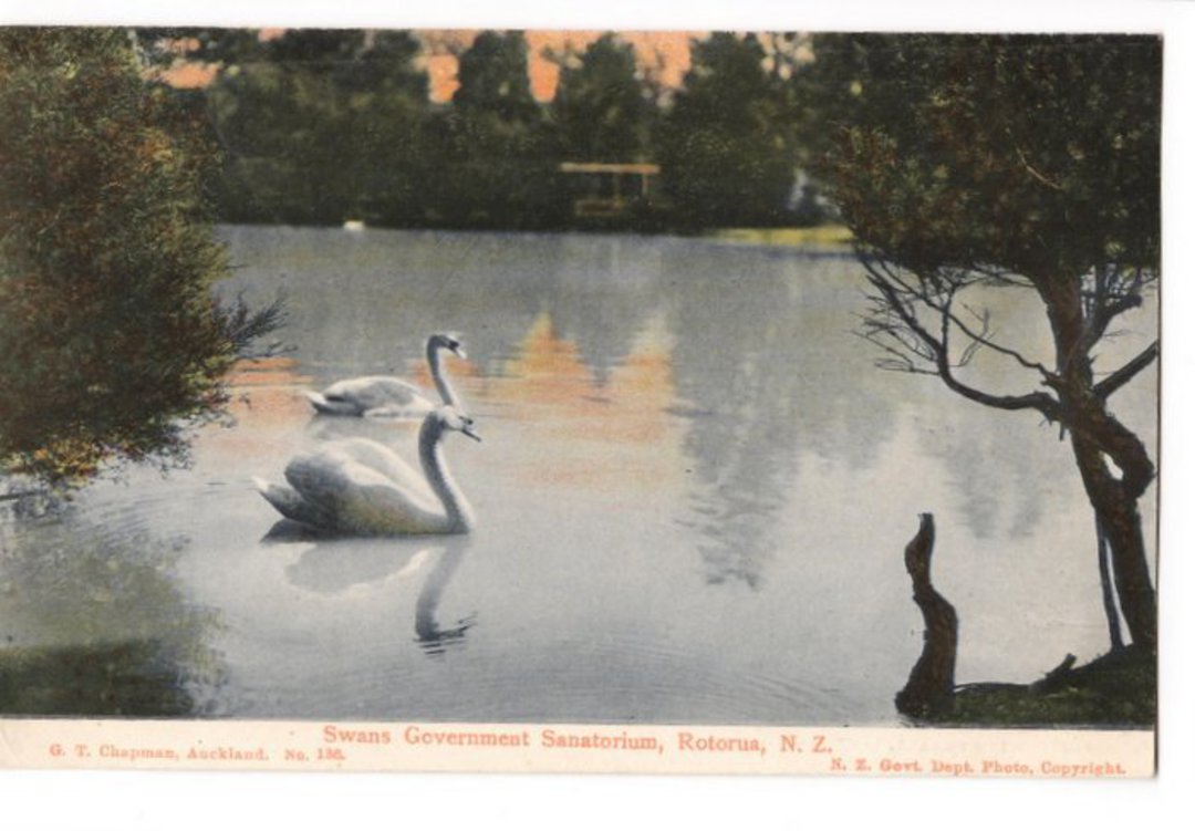 Coloured postcard of Swans Government Sanitorium Rotorua. - 46143 - Postcard image 0