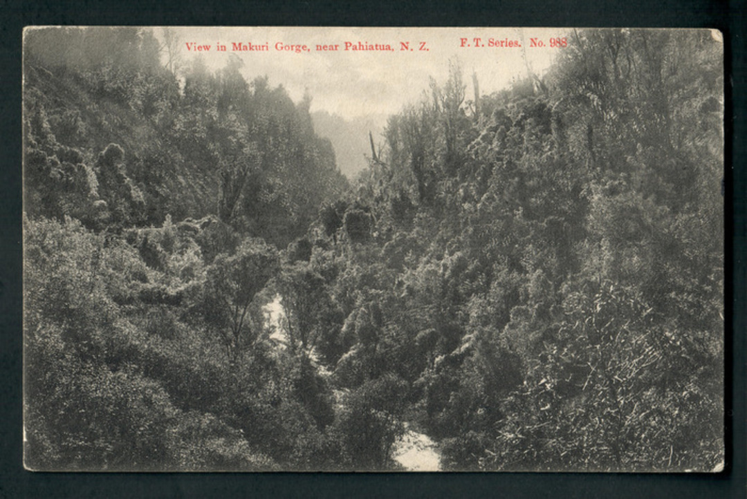 Postcard of Makuri Gorge near Pahiatua. - 47896 - Postcard image 0