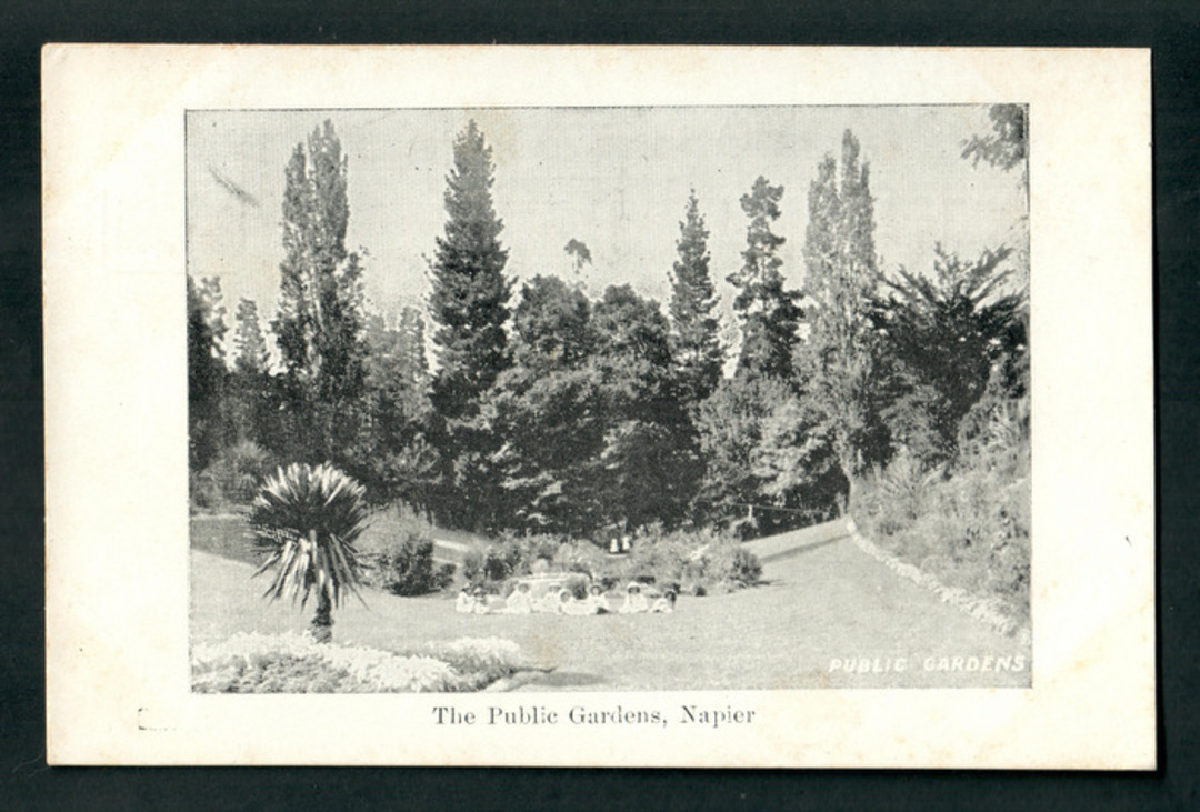 Real Photograph of Public Gardens Napier. - 48005 - Postcard image 0