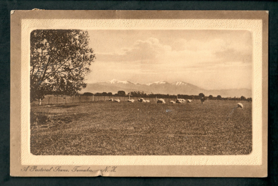 Sepia Postcard of Pastoral Scene Temuka. - 48552 - Postcard image 0