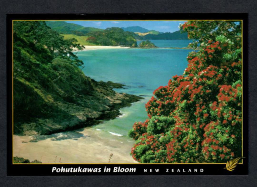 NEW ZEALAND Modern Coloured Postcard of Pohutukawas in bloom. - 444751 - Postcard image 0