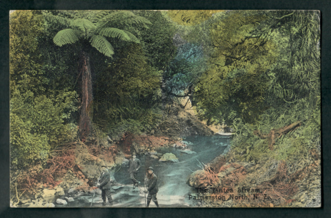 Coloured postcard of Tititea Stream Palmerston North. - 47240 - Postcard image 0