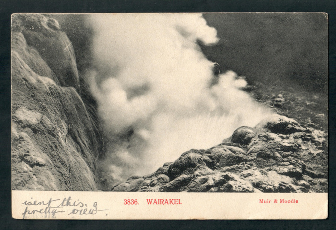 Postcard by Muir & Moodie of Wairakei. - 46682 - Postcard image 0