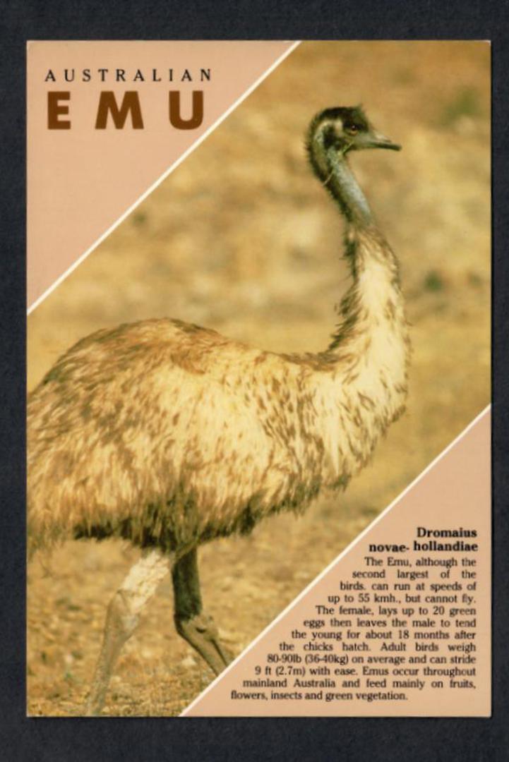 AUSTRALIA Modern Coloured Postcard of Emu. - 444810 - Postcard image 0