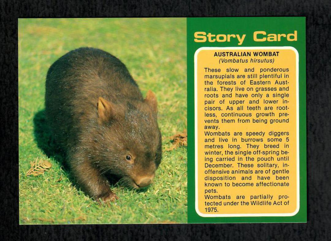 Modern Coloured Postcards of Wombat and Kangaroo. Two cards. - 444930 - Postcard image 0
