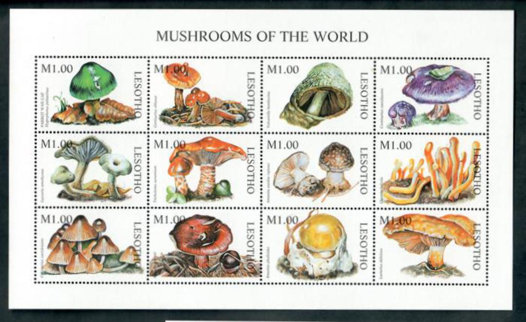 LESOTHO 1999 Fungi. Sheetlet of 12. - 50375 - UHM image 0