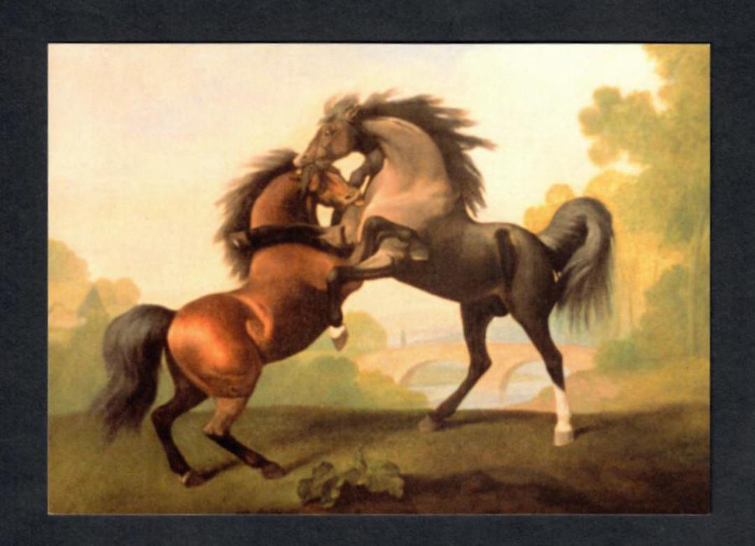 Modern Coloured Postcard of fighting stallions. - 444793 - Postcard image 0