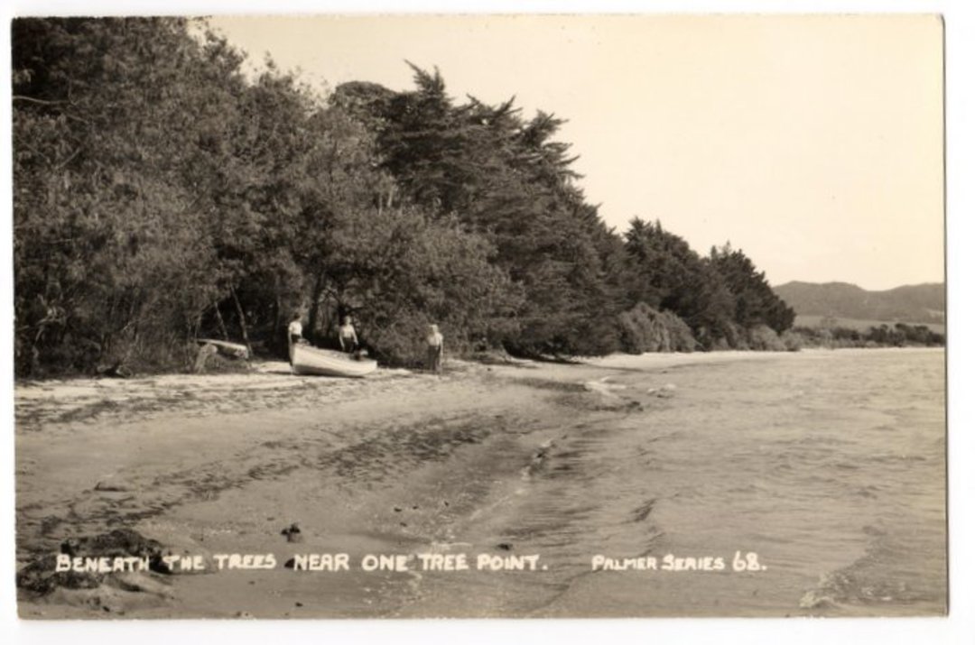 Real Photograph by T G Palmer & Son. Beneath the Trees near One Tree Point. - 44989 - Postcard image 0