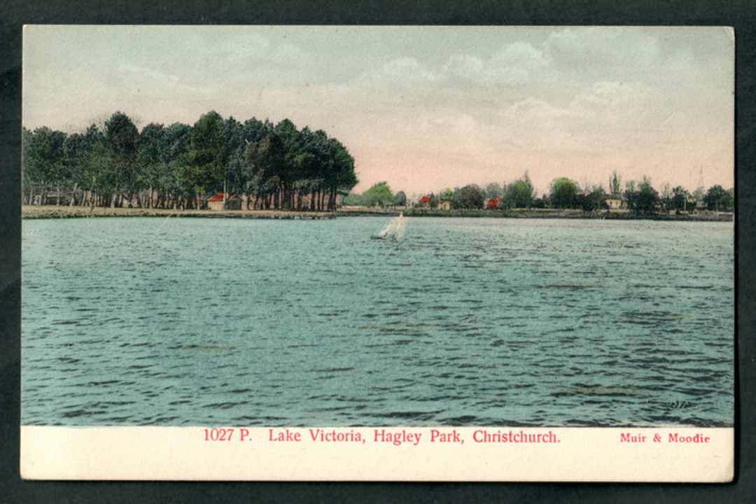 Coloured postcard by Muir and Moodie of Lake Victoria Hagley Park Christchurch. - 48547 - Postcard image 0