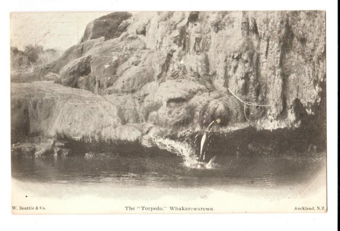 Undivided Postcard of The Torpedo Whakarewarewa. - 246087 - Postcard image 0