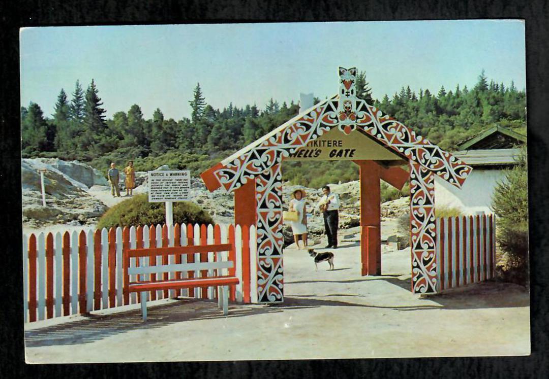 Modern Coloured Postcard by Gladys Goodall of Tikitere Hells Gate Rotorua. - 444480 - Postcard image 0
