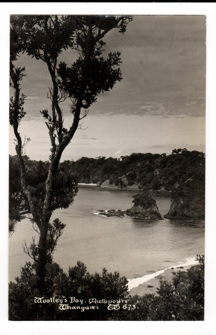 Real Photograph by G E Woolley of Woolleys Bay Matapouri. - 44751 - Postcard image 0