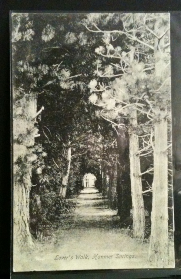 Postcard of Lovers' Walk Hamner Springs. - 48253 - Postcard image 0