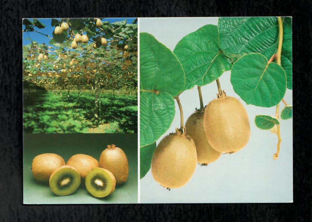 Modern Coloured Postcard of Kiwifruit. - 446339 - Postcard image 0