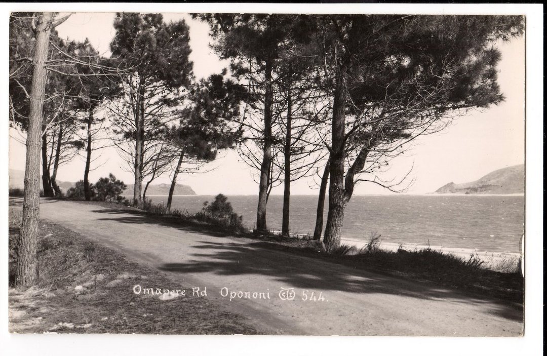 Real Photograph by G E Woolley of Omapere Road Opononi. - 44776 - image 0