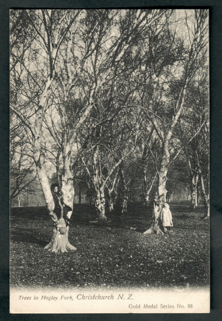 Postcard of trees in Hagley Park. - 48365 - Postcard image 0